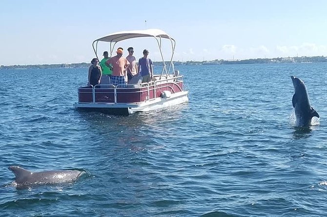 Small Group Florida Keys Eco Tour by Boat - Wildlife Spotting Opportunities