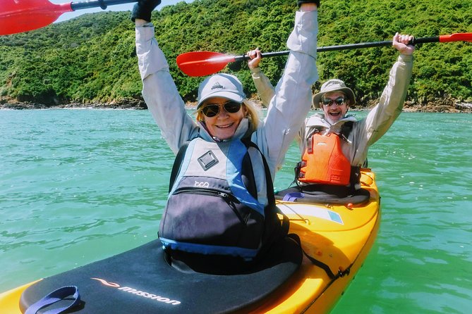 Small Group Guided Sea Kayaking in Akaroa Marine Reserve