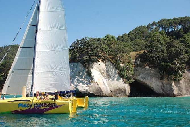 Small-Group Half-Day Sailing Tour With Snorkeling, Cooks Beach  – Whitianga