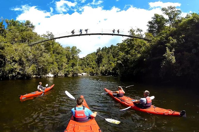 Small-Group Kayak Day Tour With Return Water Taxi, Abel Tasman  – Marahau