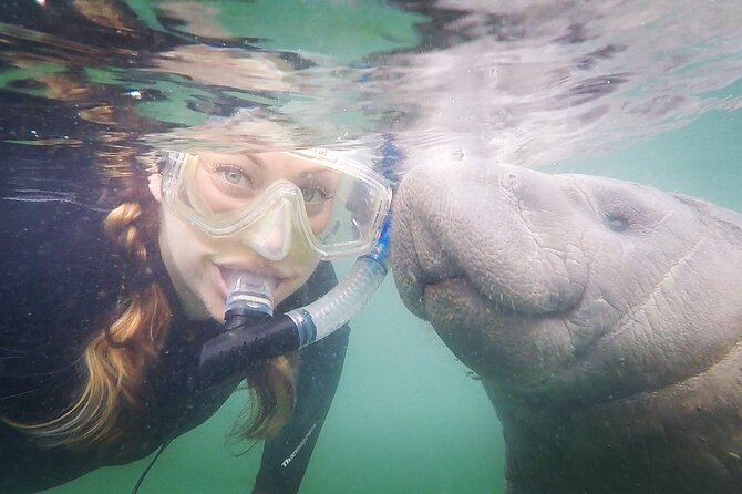 Small Group Manatee Snorkel Tour With In-Water Guide and Photographer - Tour Highlights
