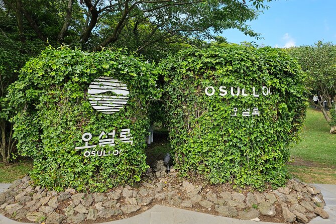 Small Group Private Day Tour - West of Jeju Island - Itinerary Details