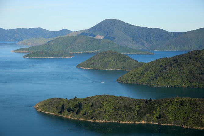 Small-Group Scenic Flight Over Marlborough Sounds From Picton