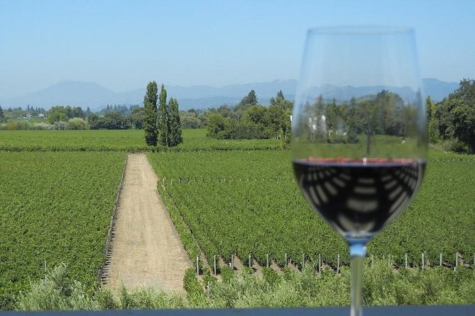 Small-Group Vintage Wine Country Tour to Sonoma and Napa - Customer Reviews