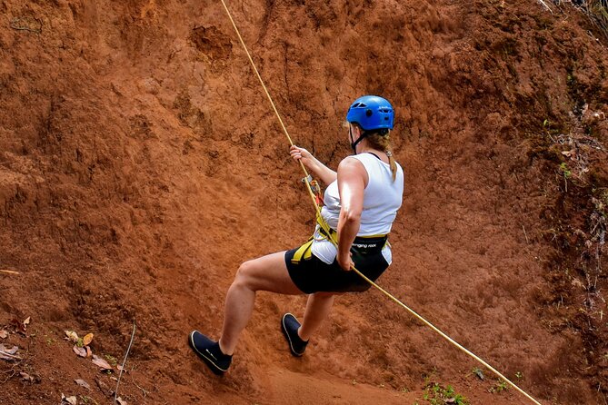 Small Group Waterfall Rappel in Lihue - Traveler Experience