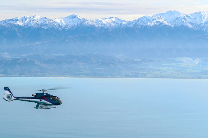 Small-Group Whale-Watching Flight: Kaikoura From Christchurch