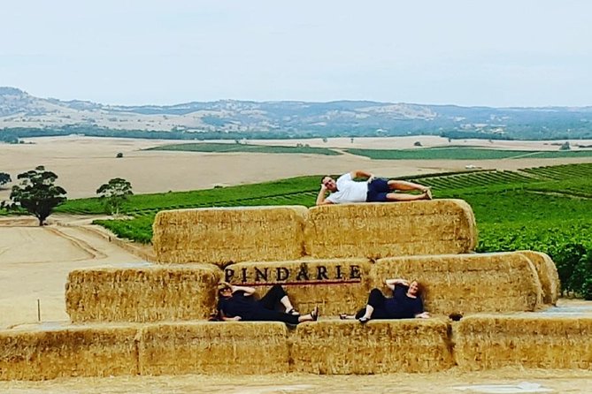 Small-Group Wineries Day Tour With Lunch, Barossa Valley  – Adelaide