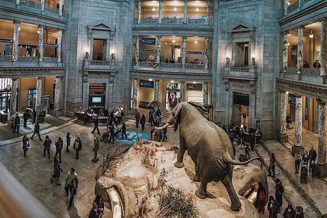 Smithsonian Museum of Natural History – Exclusive Guided Tour