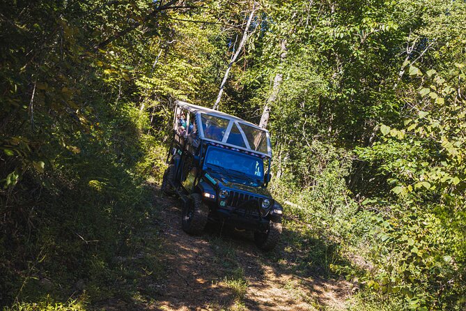 Smoky Mountains Newfound Gap Jeep Tour - Tour Details