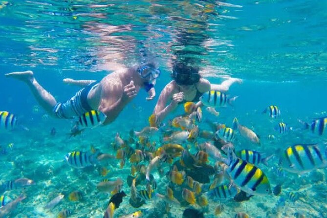 Snorkeling at Blue Lagoon Beach With Lunch and Private Transfer - Tour Pricing and Inclusions
