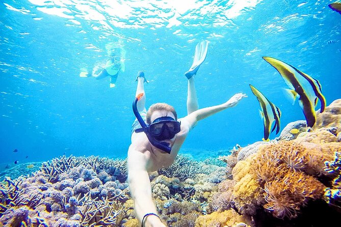 Snorkeling Nusa Penida and Island Tour Package - Underwater Marine Life Exploration