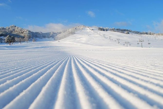 Snow Activities in Takayama Skiing / Snow Bording / Snowshoeing / Etc... - Activity Options