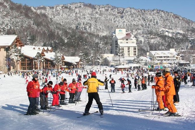 Snow or Ski Day Trip to Yongpyong Resort From Seoul