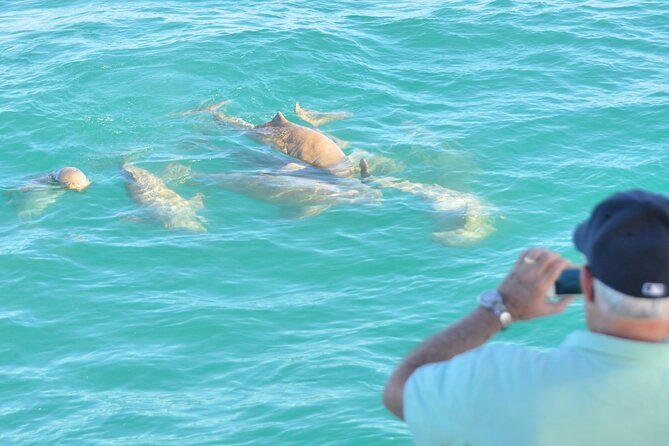 Snubfin Dolphin Eco Cruise From Broome - Cruise Experience and Amenities