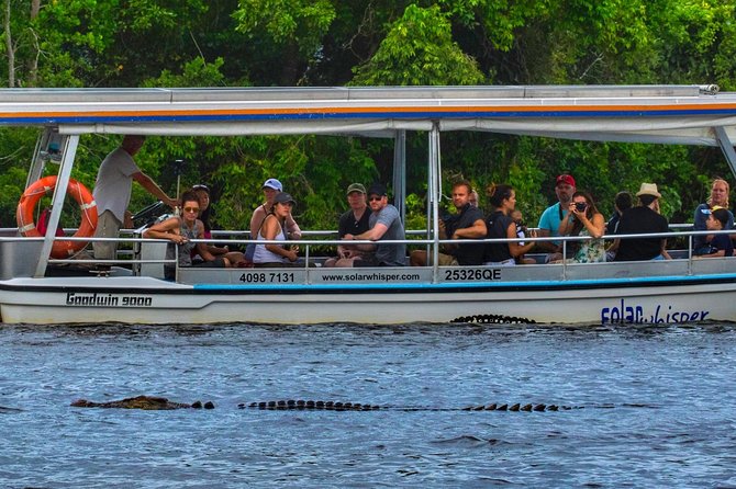 Solar Whisper Daintree River Crocodile and Wildlife Cruise - Experience Details