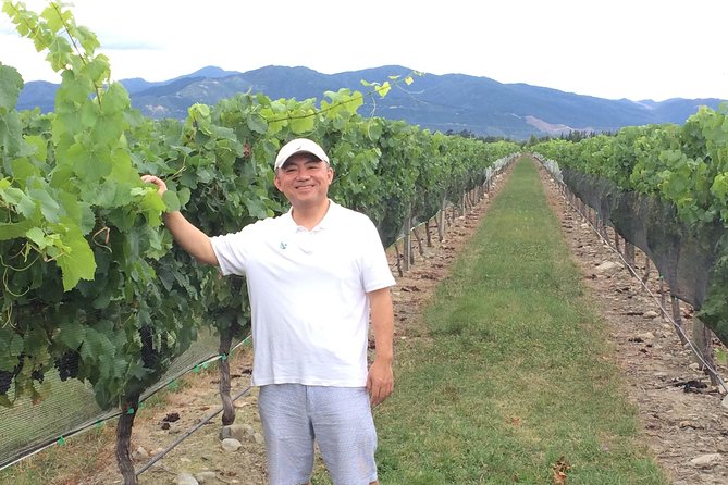 SOLO TRAVELLER: Full Day Wine Gourmet and Scenic Delights From Picton - Wine Tasting Experience