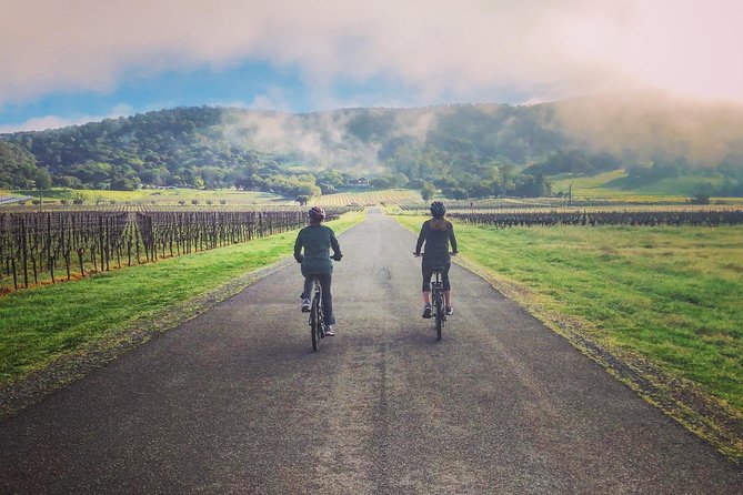 Sonoma Valley Pedal Assist Bike Tour With Lunch - Tour Details