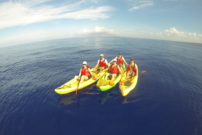 South Maui Kayak and Snorkel Tour With Turtles