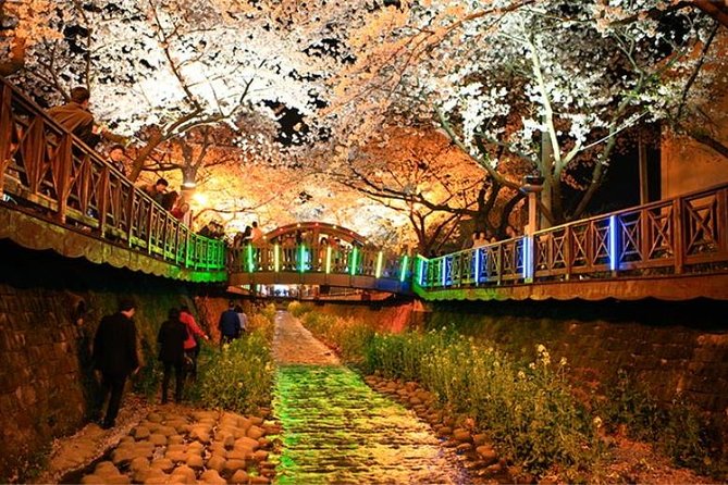 Spring 5 Days Cherry Blossom Jeju&Busan&Jinhae&Gyeongju on 31 Mar to 10 Apr - Itinerary Highlights