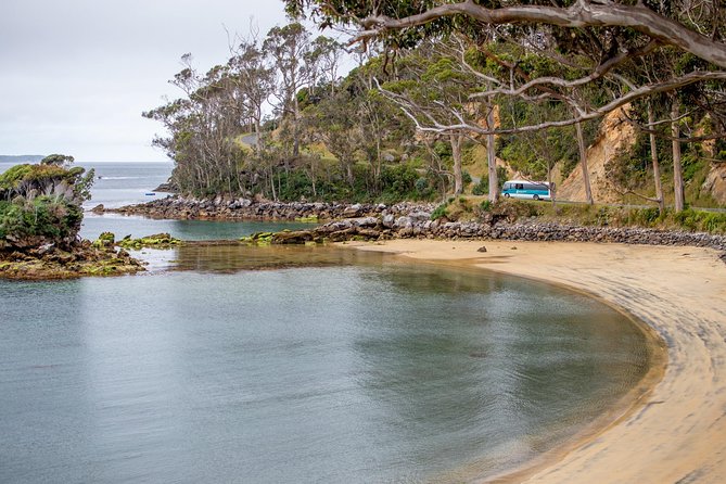 Stewart Island: Village and Bays Tour - Inclusions