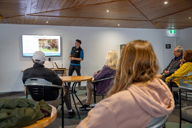 Stewart Island Wild Kiwi Encounter - Tour Highlights