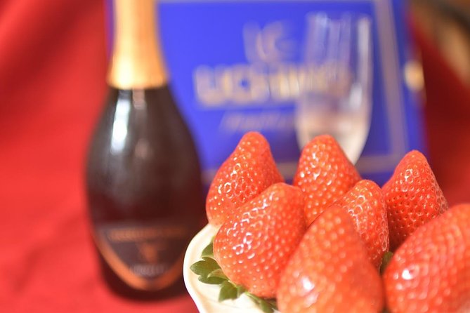 Strawberry Picking and Snow Experience at Mt Fuji Ski Resort for VIP - Experience Highlights