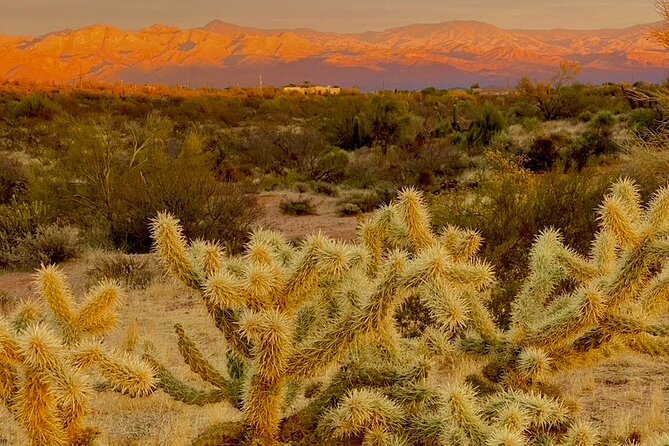 Stunning Sunrise or Sunset Guided Hiking Adventure in the Sonoran Desert - Safety Measures and Customized Experience