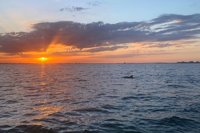Sunset and Dolphin Cruise Around Fort Myers Beach - Experience Details
