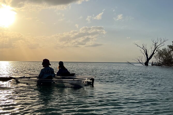Sunset and Glow Clear Kayak Tour in North Naples - Tour Overview