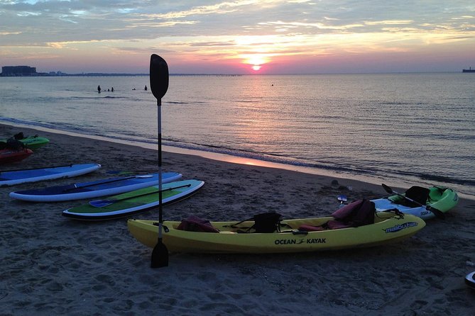 Sunset Dolphin Kayak Tours - Tour Highlights