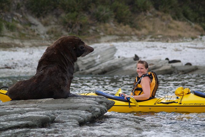 Sunset Evening Kayaking Tour - Kaikoura - Inclusions and Equipment Provided