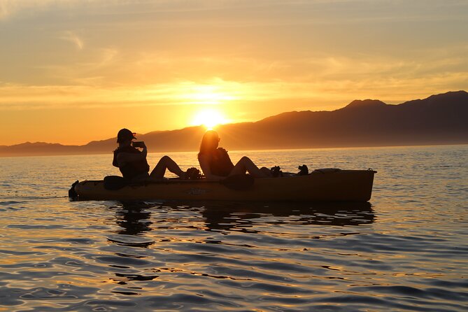 Sunset Kayak Tour in Kaikoura - Activity Overview