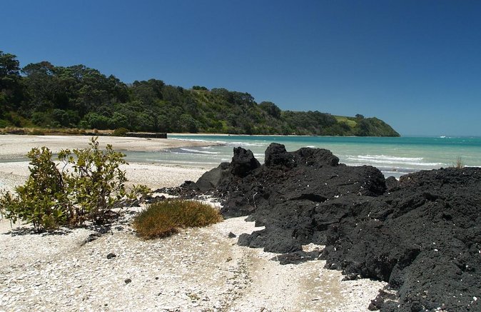 Sunset Kayak Tour to Rangitoto Island - Tour Preparation