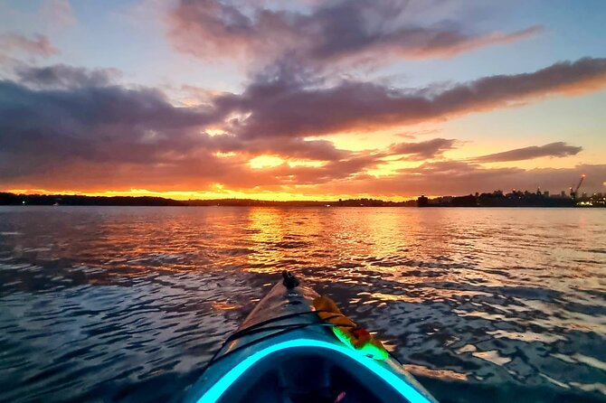 Sunset Paddle Session on Sydney Harbour - Overview of Sunset Paddle Session