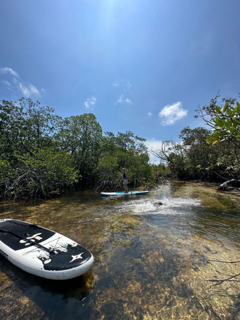 SUP at Mangroves Forest - Duration and Cancellation Policy