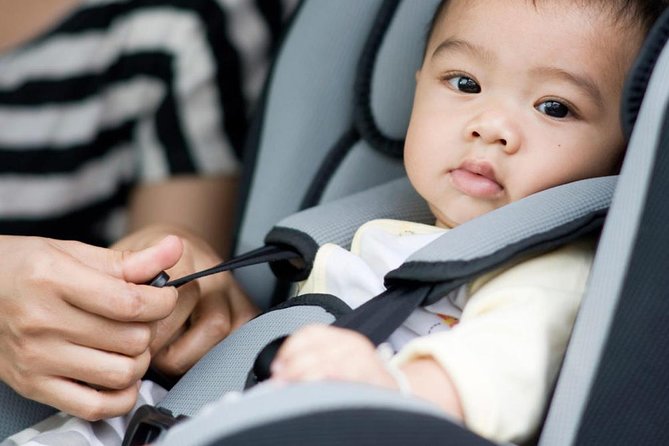Sydney Airport Transfer With Two Free Baby Seats: Airport to City - Services Provided