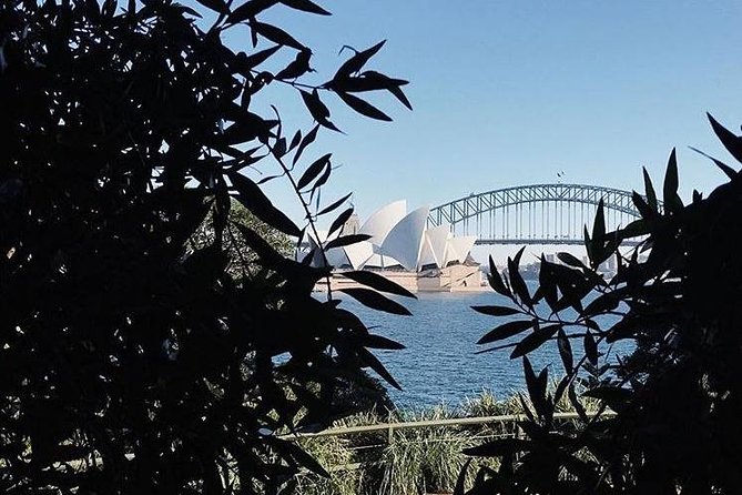 Sydney Icons & Bondi Half Day Private Tour - Tour Overview