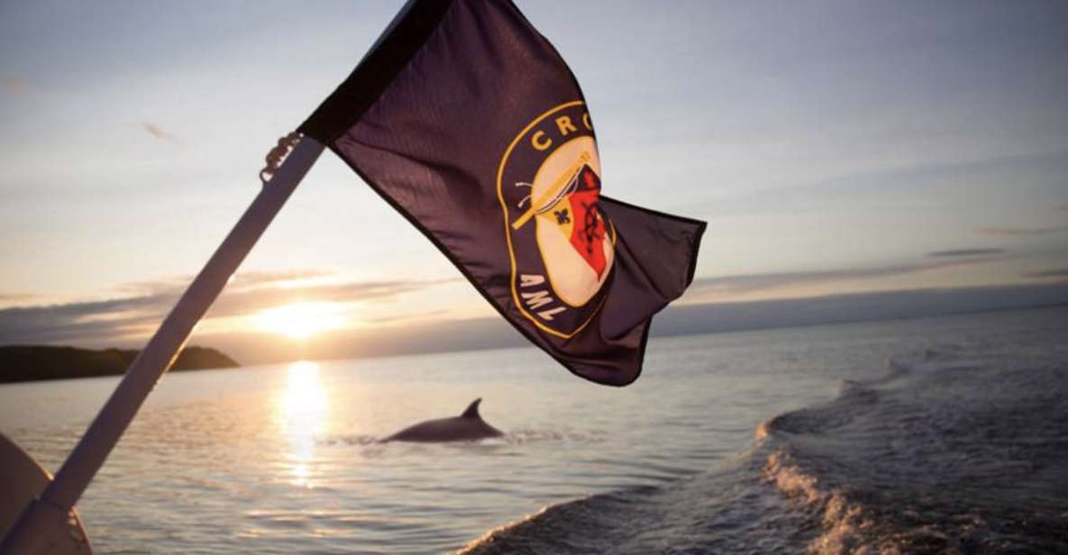 Tadoussac: Whales and Fjord Cruise Morning or Twilight Tour - Tour Details