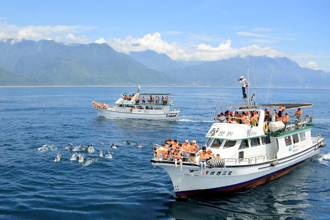 Taiwan Hualien Whale Watching Dolphin - Experience Details
