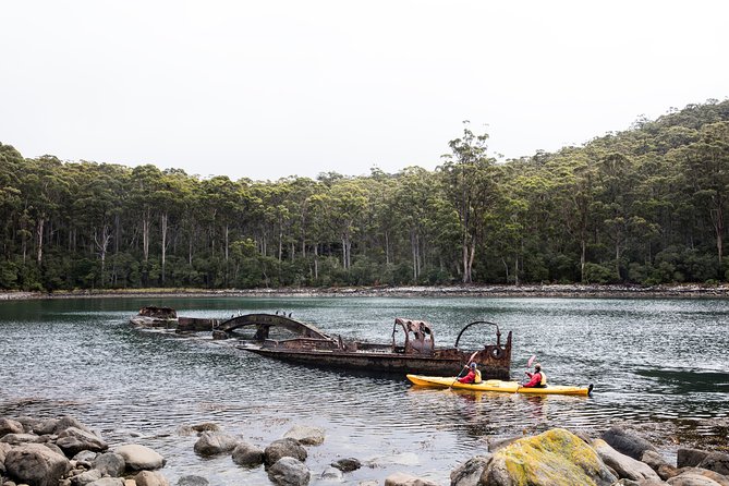 Tasman Peninsula Full Day Kayaking Tour - Tour Highlights