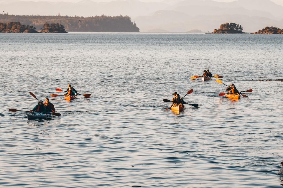 Telegraph Cove: 2 Hour Family Fun Kayaking Tour - Guided Experience