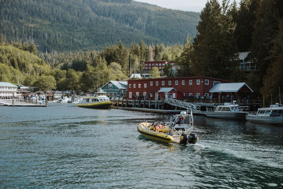 Telegraph Cove: 3-Hour Whale Watching Tour in a Zodiac Boat - Booking Details
