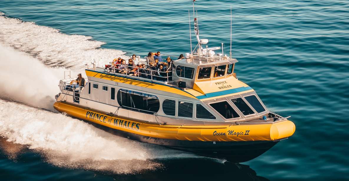 Telegraph Cove: Half-Day Whale Watching Tour