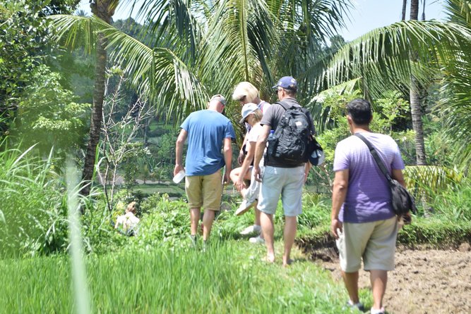 Tetebatu Walking Tour – Rice Terraces, Waterfall & Monkey Forest