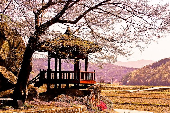 The Beauty of the Korea Cherry Blossom Discover 9days 8nights