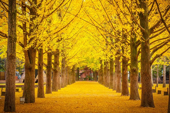 The Beauty of the Korea Fall Foliage Discover 11days 10nights