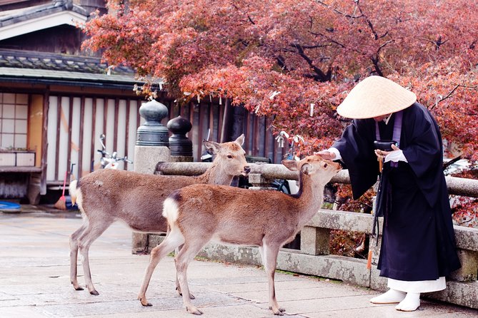 The Best of Nara Walking Tour - Highlights of Nara Walking Tour