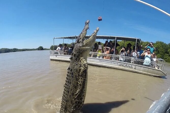 The Croc Bus to the Famous Jumping Crocodile Cruise - Travel Experience