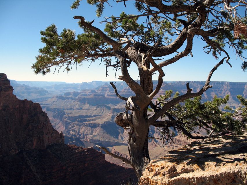 The Grand Canyon Classic Tour From Sedona, AZ - Customer Reviews