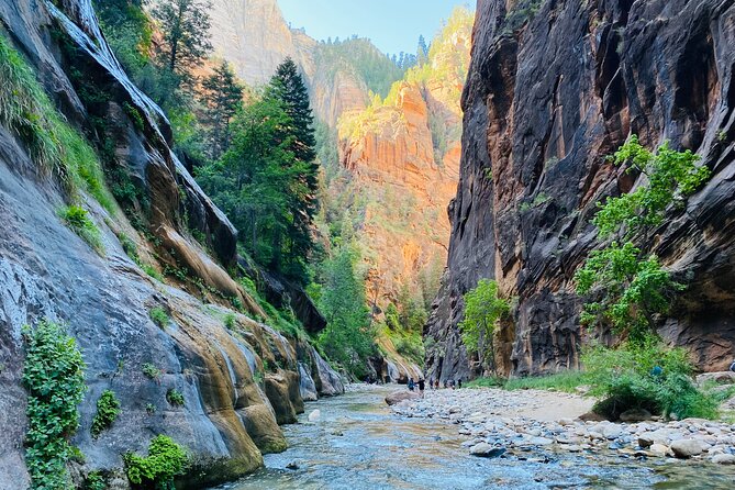 The Narrows: Zion National Park Private Guided Hike - Cancellation Policy